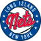 Long Island Nets logo