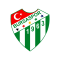 Bursaspor logo