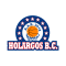 Holargos logo