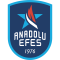 Anadolu Efes Istanbul logo