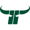 OCS Capital Bulls logo