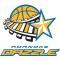 Roanoke Dazzle logo